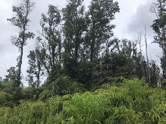 4th image of Hapuu St Lot 1