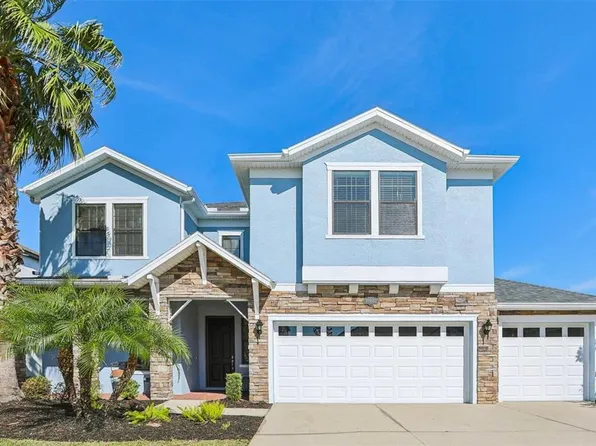 10642 Mistflower Ln, Tampa, FL 33647