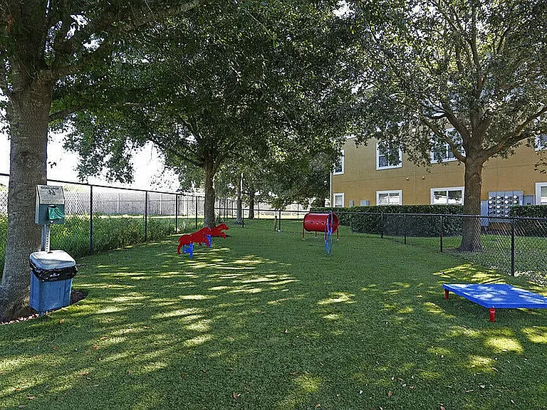 Dog Park