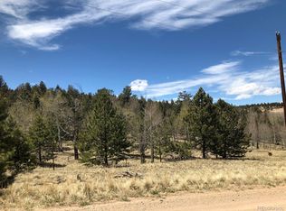10380 Ranch Rd, Hartsel, CO 80449