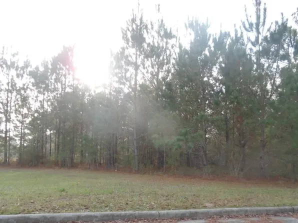 1 Daisy Lane Easley Rd, Andalusia, AL 36420