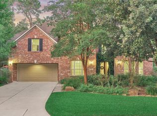 14 Skipwith Pl, Spring, TX 77382