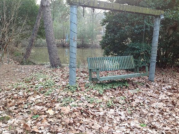 front yard swing/pond