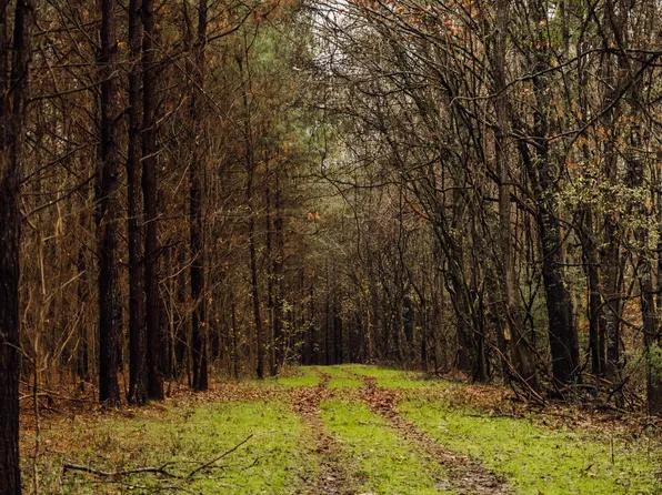 745 Black Jack Rd, Vaughan, MS 39179