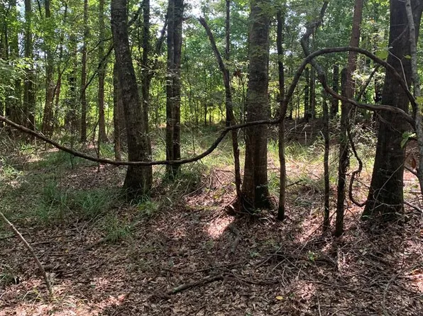 1895 Pleasant Ridge Rd NW, Wesson, MS 39191