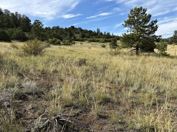 Little Horn Rd, Westcliffe, CO 81252
