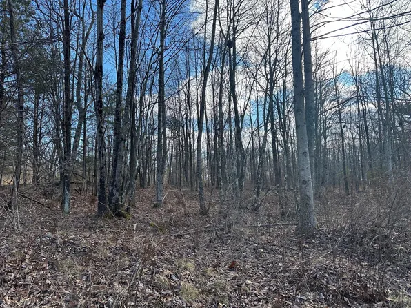 5 Palmer Firetower Rd, Palmer, TN 37365