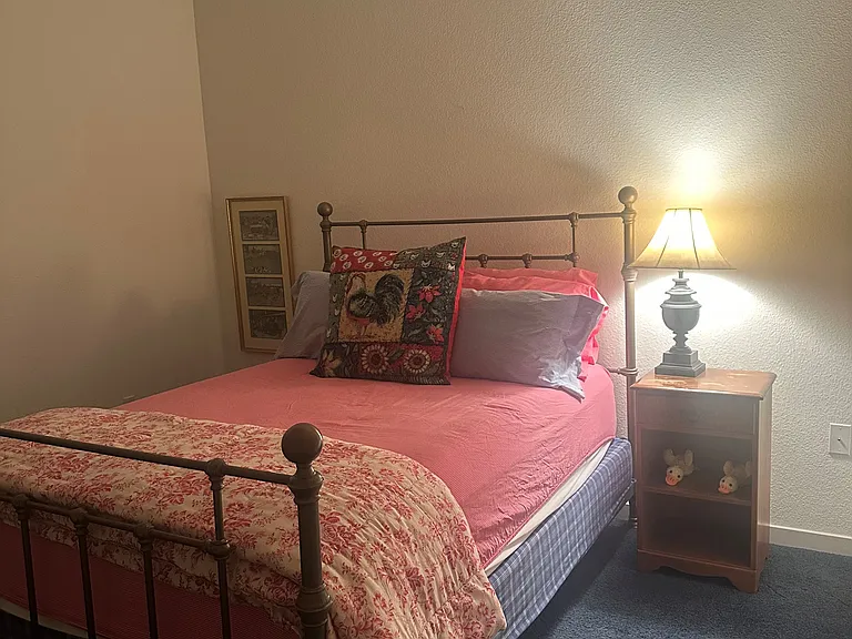 515 Rosebush Ct — Photo 3