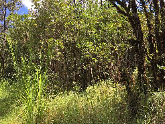 5th image of 16-1573 Road 2 Lot 2895