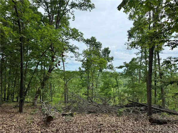 Coelleda School Rd, Roach, MO 65787