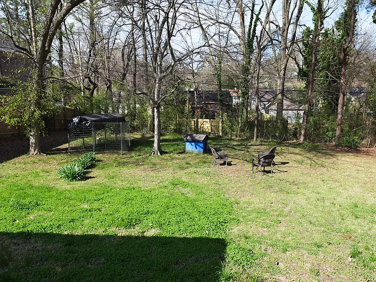 Backyard.