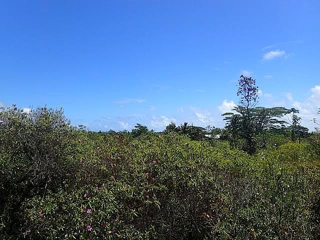 1st image of 0 6th Avenue