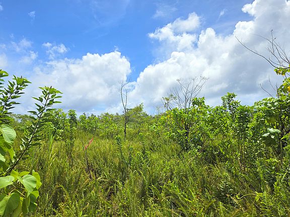 3rd image of Pohoiki Kalapana Rd