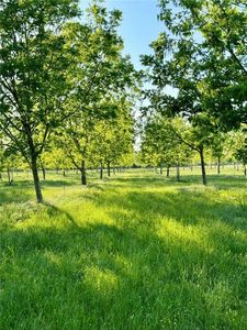 619 Woodson Rd, Effie, LA, 71331