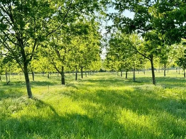 619 Woodson Rd, Effie, LA 71331