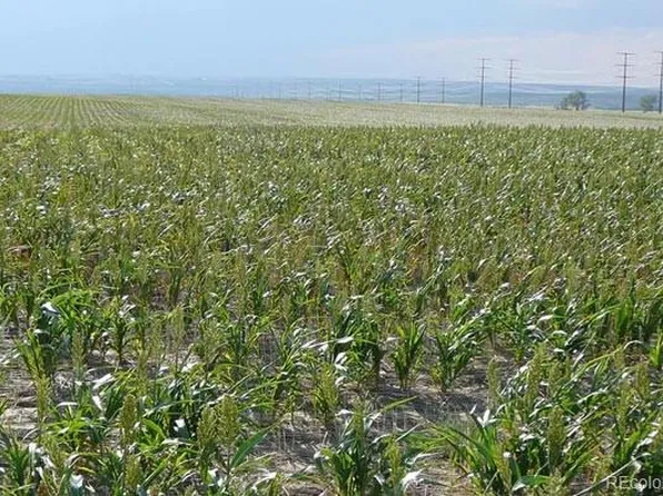 4502 S CR 181 aka Exmoor Road LOT 3, Byers, CO 80103