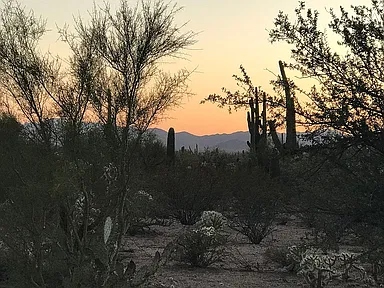 Tucson Ranchettes Drive 12410 W Ranchettes Dr Tucson AZ | Zillow