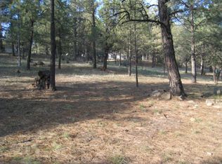 107 Lower Terrace Dr, Ruidoso, NM 88345