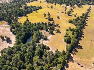 1000 County Road 1208, Grapeland, TX 75844