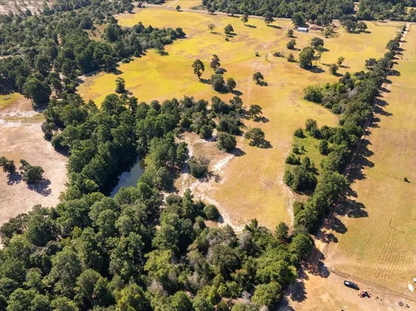 1000 County Road 1208, Grapeland, TX 75844
