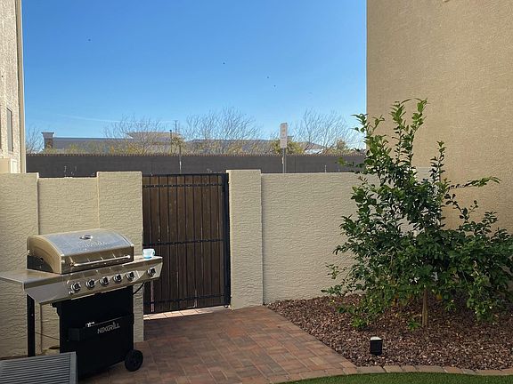 Lemon tree and paved grilling area