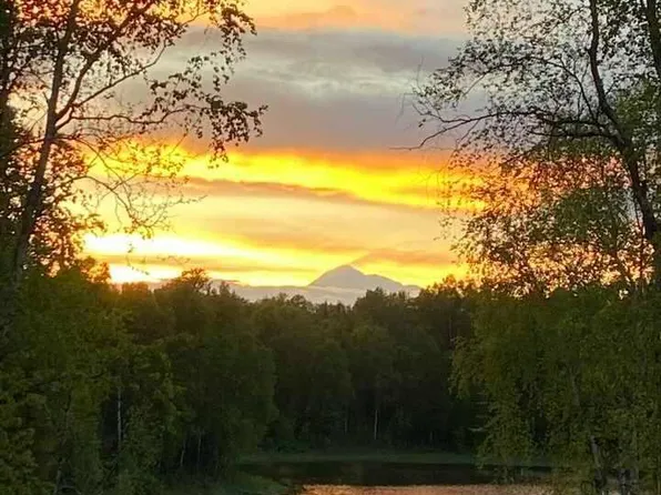 L1 B Wolfglen #3, Talkeetna, AK 99676