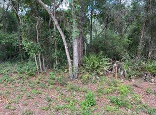 Biltmore Avenue Lot #16, Webster, FL 33597