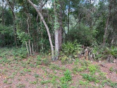 Biltmore Avenue Lot #16, Webster, FL, 33597
