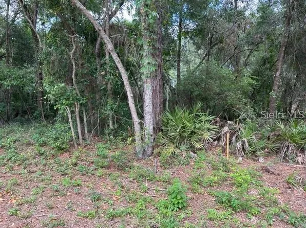 Biltmore Avenue Lot #16, Webster, FL 33597