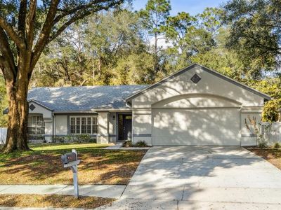 1561 Rockwell Heights Dr, Deland, FL, 32724