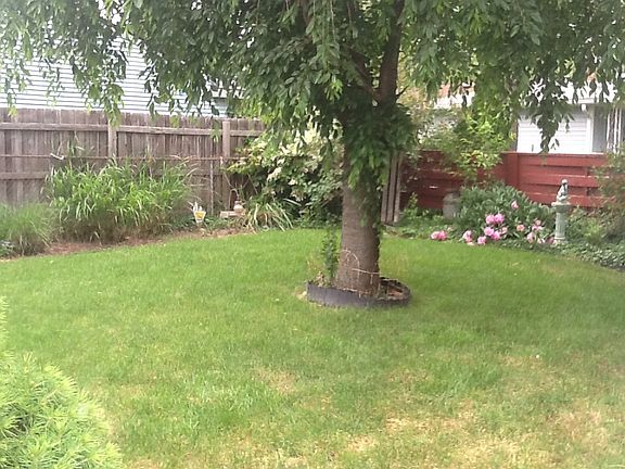 landscape yard & gardens