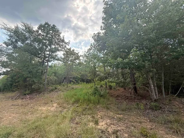 Rose Creek Rd, Selmer, TN 38375