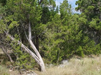2265 Fuller Dr, Canyon Lake, TX, 78133
