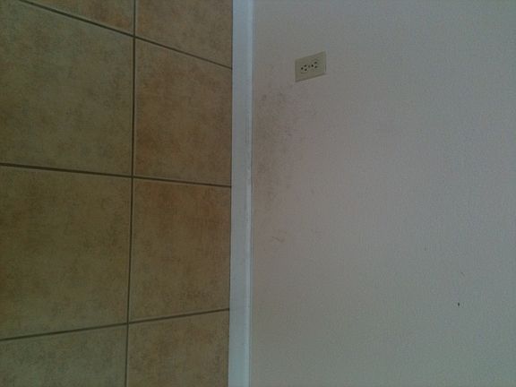 2nd image of 1918 Rosemarie Ln Unit 114