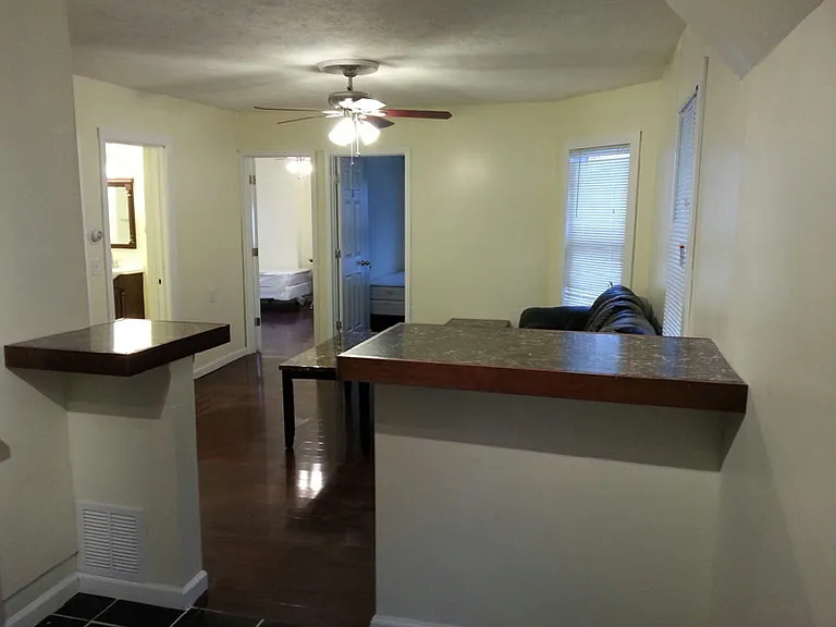 205 Lexington Ave #1 — Photo 5