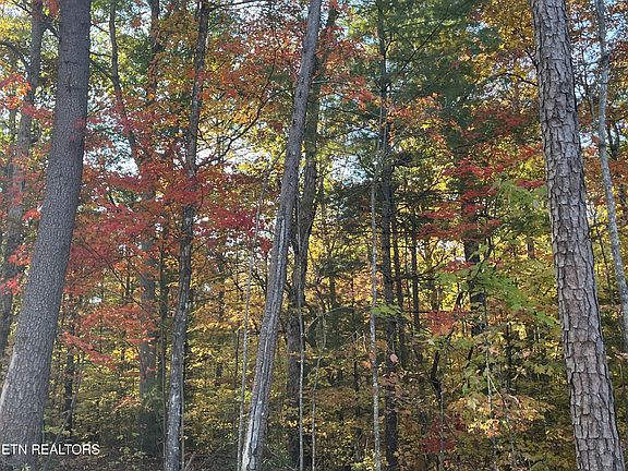 2nd image of 111 Cherokee Path Lot 111