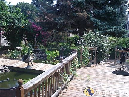 Back yard #1