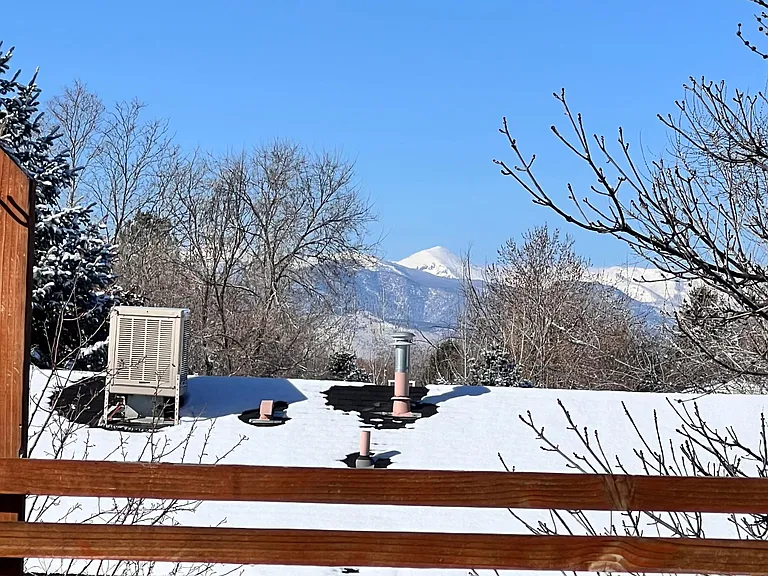 2137 Tulip St — Photo 19