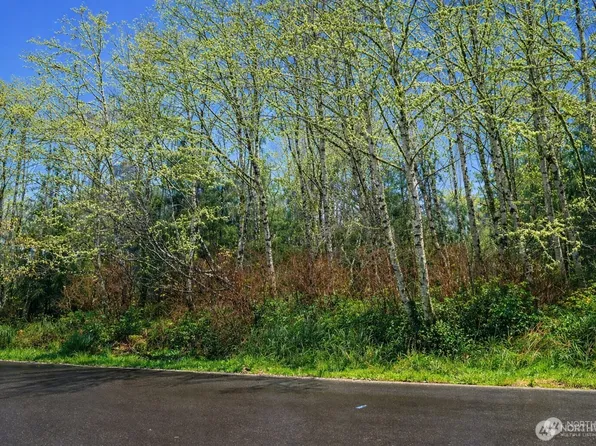 821 Duck Lake Drive NE, Ocean Shores, WA 98569