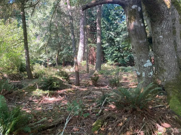 10919 Riviera Drive, Anderson Island, WA 98303