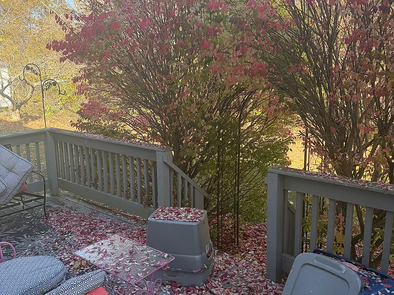 340 Water St #1 — Photo 1