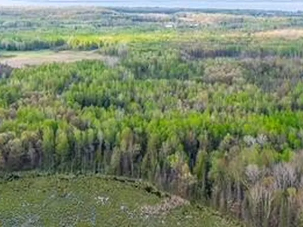 S Harrison Rd, Houghton Lake, MI 48629