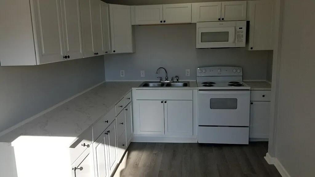 1 bed, 450 sqft, $950 — Photo 3