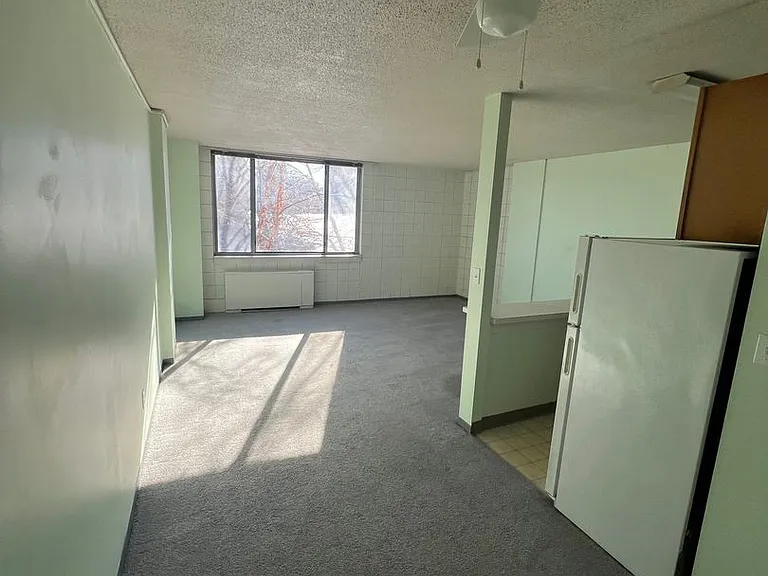 600 E 8th St #3M — Photo 11