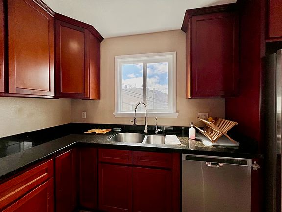 Kitchen dishwasher