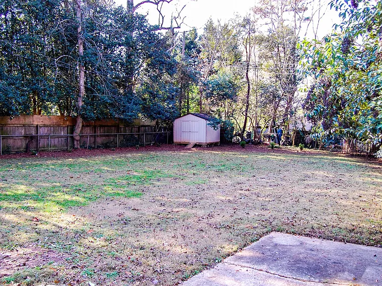backyard
