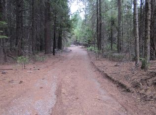 5 Sciaroni Rd, Grizzly Flats, CA 95636