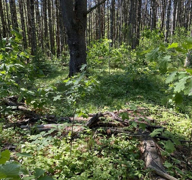 1st image of Lot 10,11,12,13 ROCKWOOD DRIVE #12712