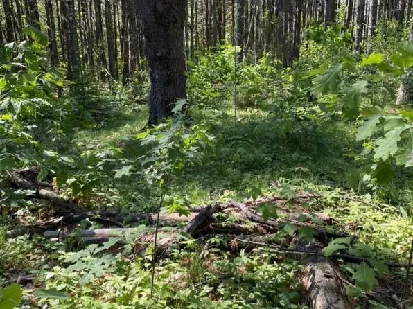 Lot 10,11,12,13 ROCKWOOD DRIVE, Minocqua, WI 54548