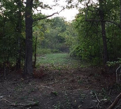 4th image of 3382 County Road 1600